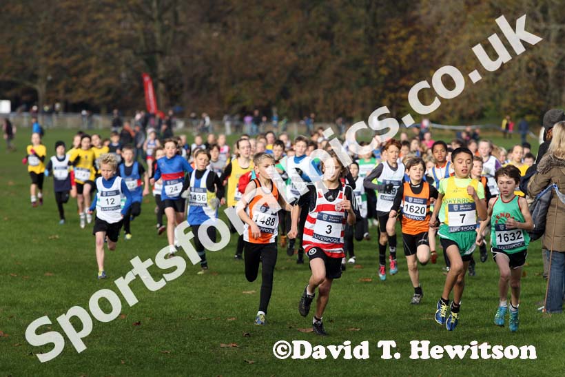 Start of the under-11s, Liverpool Cross Challenge. David T. Hewitson/Sports for All Pics